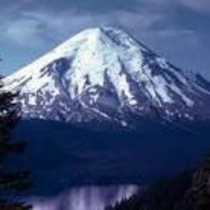 Meet your Posher, Umii